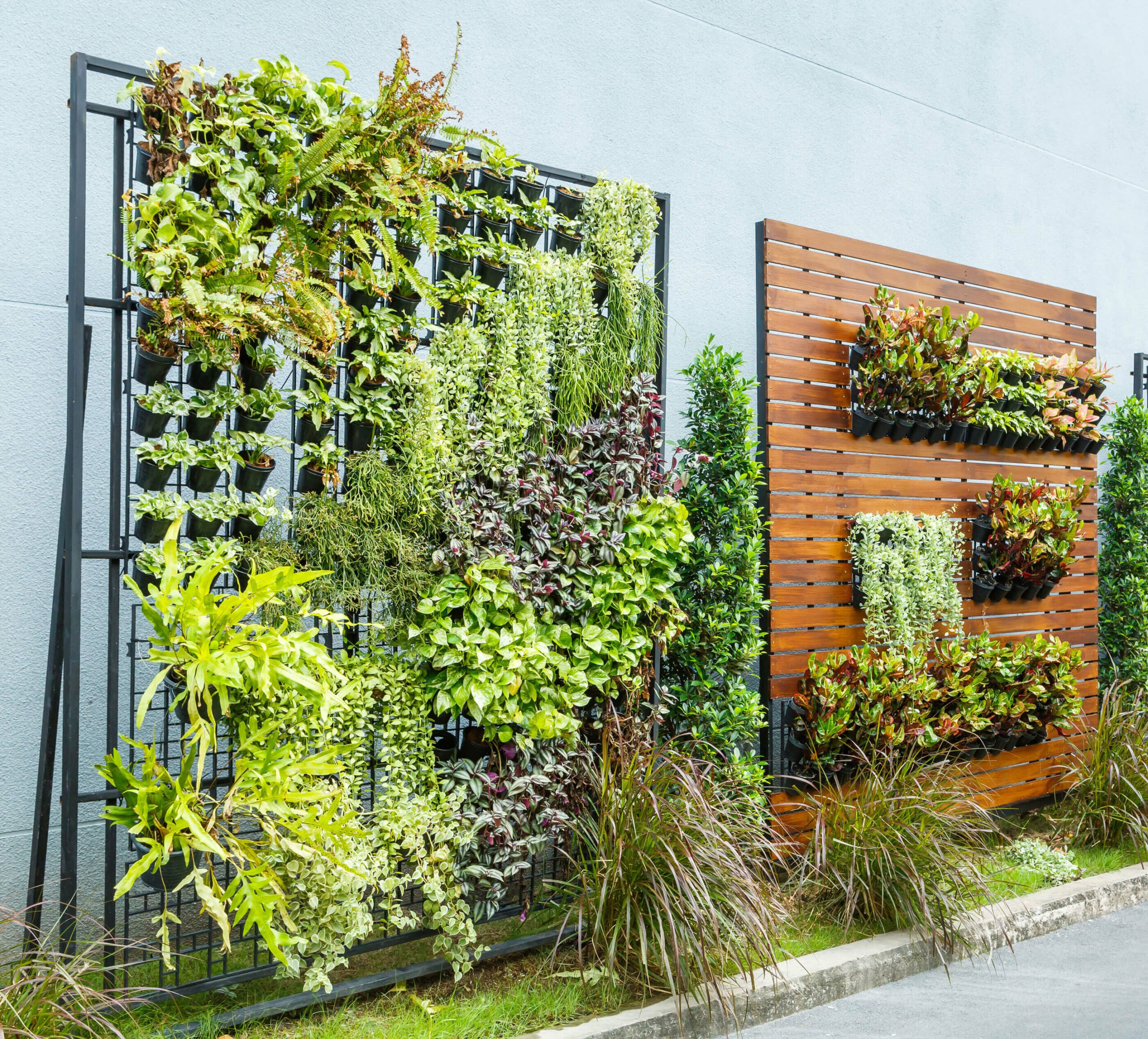 Vertical Gardening - Wände mit zwei Varianten