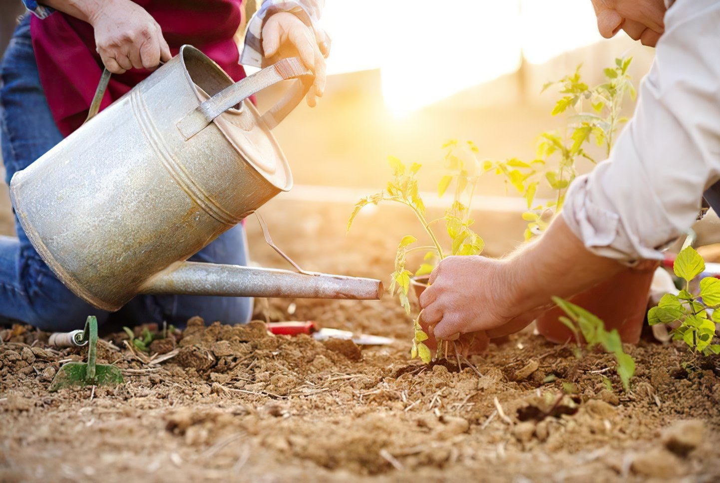 gartenliebe