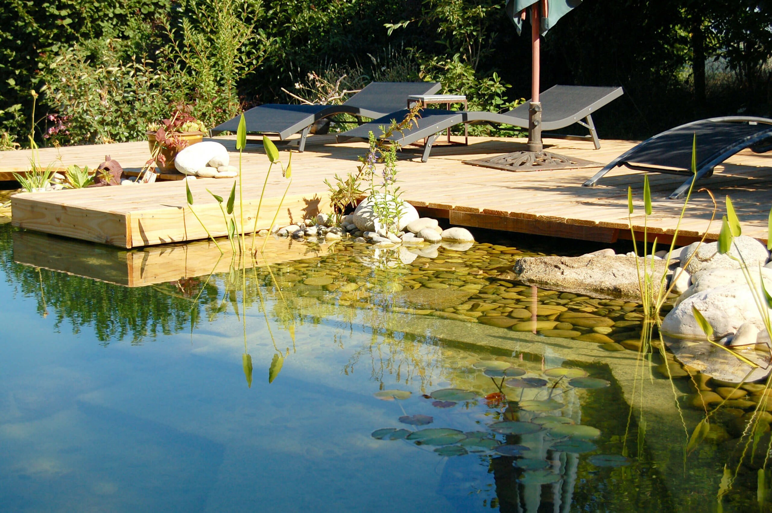 Natur-Pool mit biologischer Pumpe