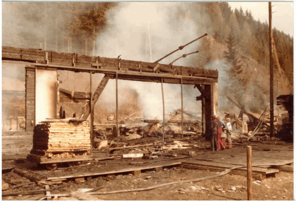 1979 Brand e1774870034214